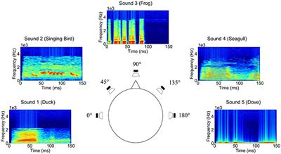 Analysis of Prefrontal Single-Channel EEG Data for Portable Auditory ERP-Based Brain–Computer Interfaces